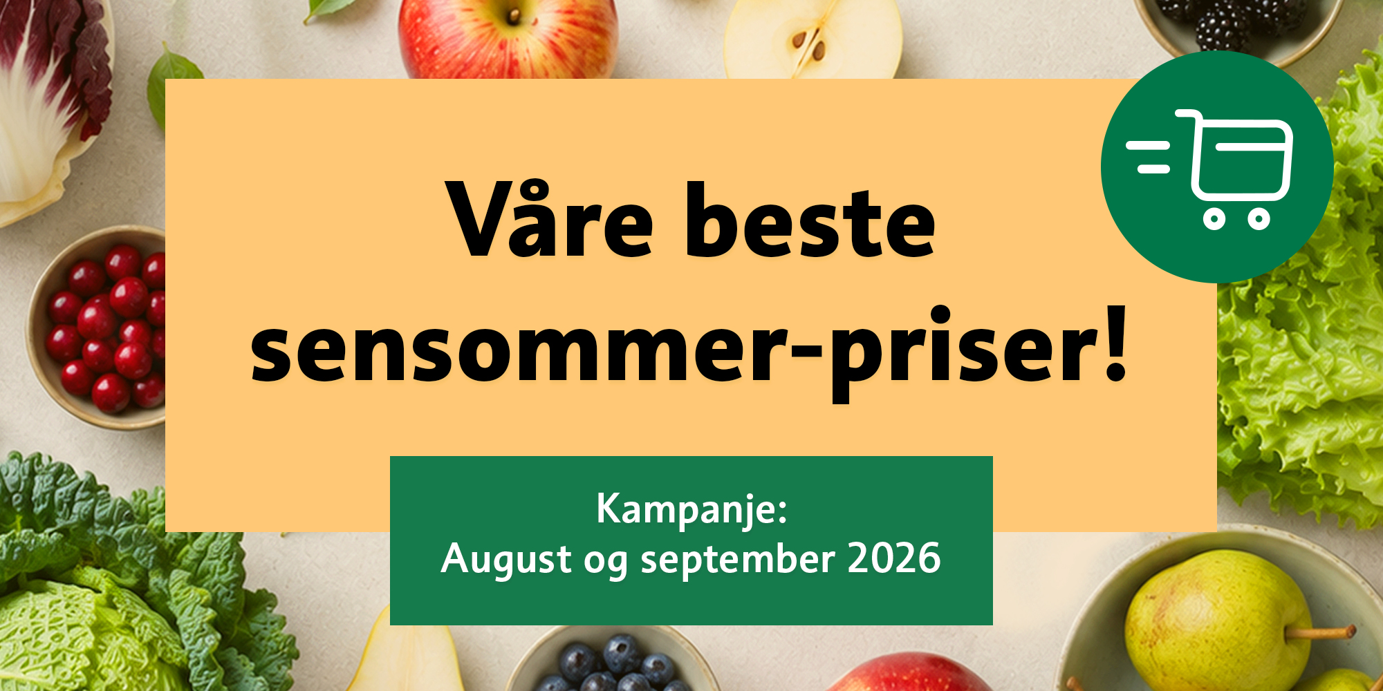 Kampanje august & september