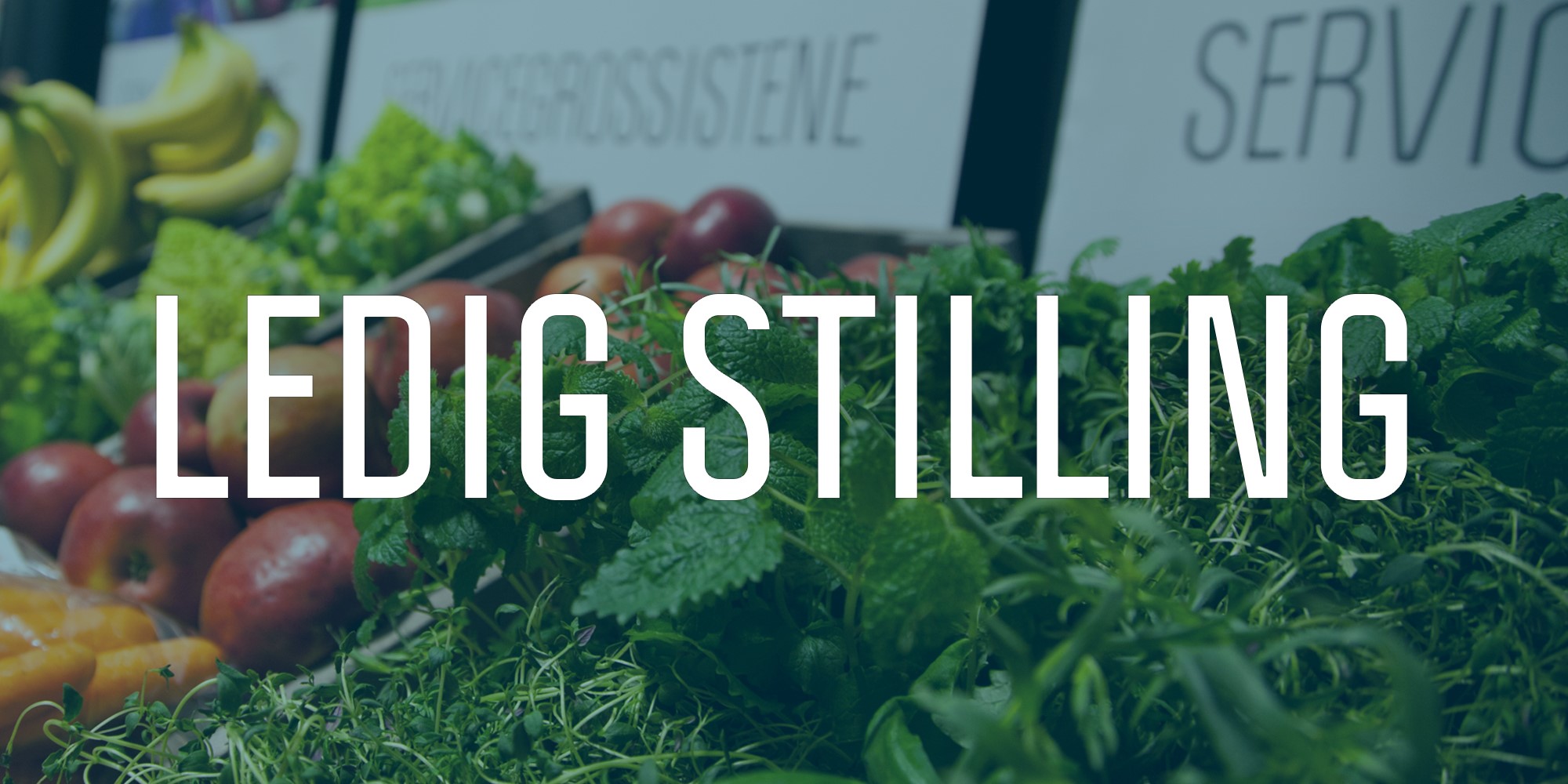 LEDIG STILLING