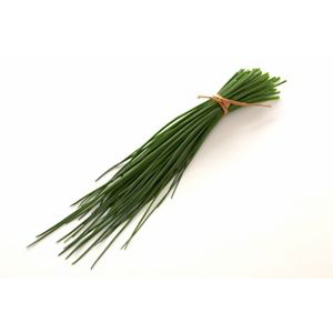 Gressløk 10x100g