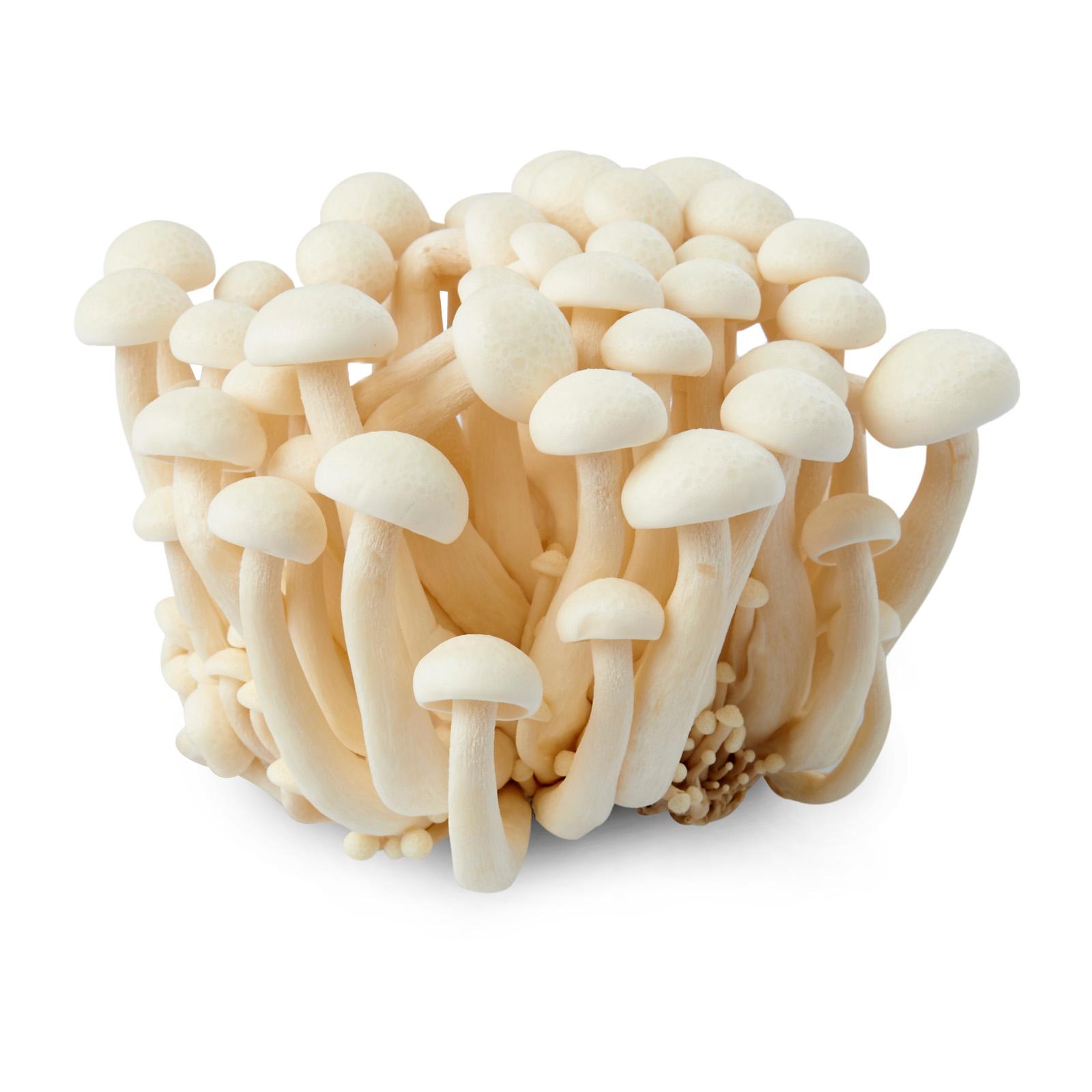 Sopp shimeji 1,5kg