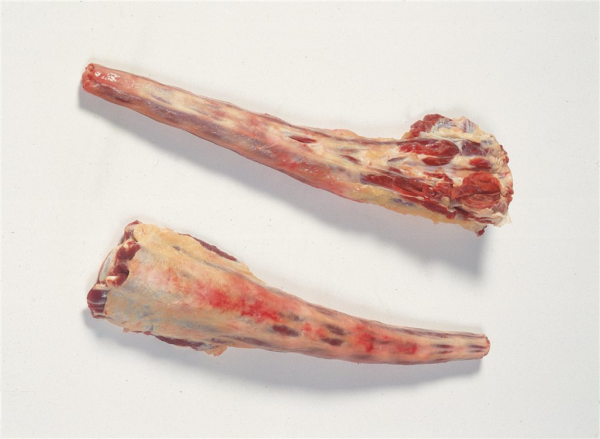 Storfehaler ca10kg kg