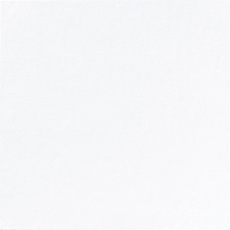 Napkin dunilin 48cm white  12pce