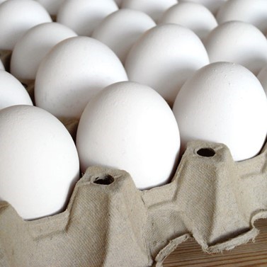 Egg l30 8 brett kg
