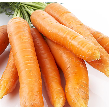 Gulrot økol. 750g