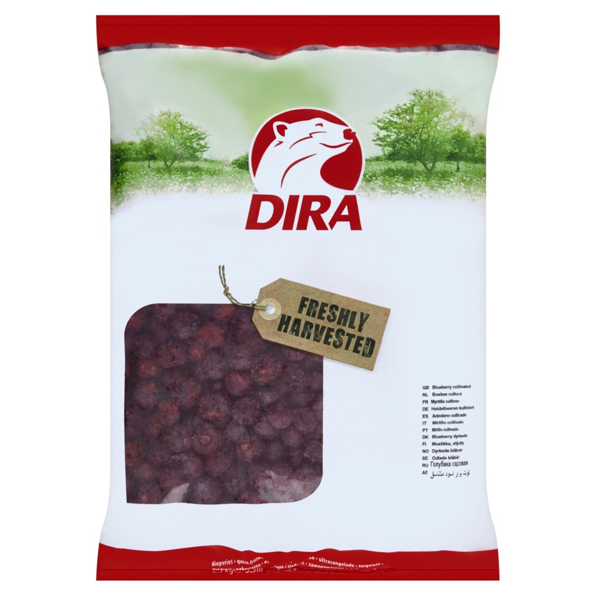 Blåbær frys   4x2,5kg            t kg