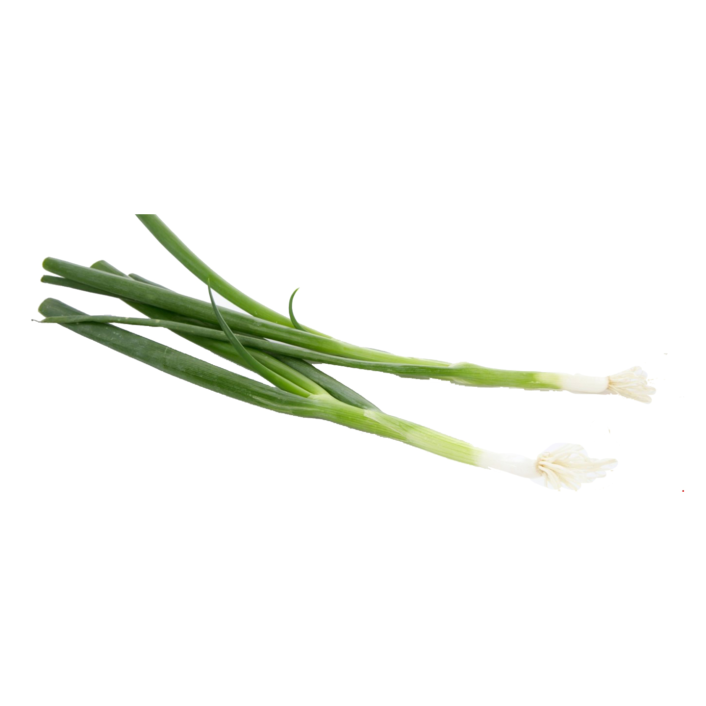 Spring onion, eco.   kg