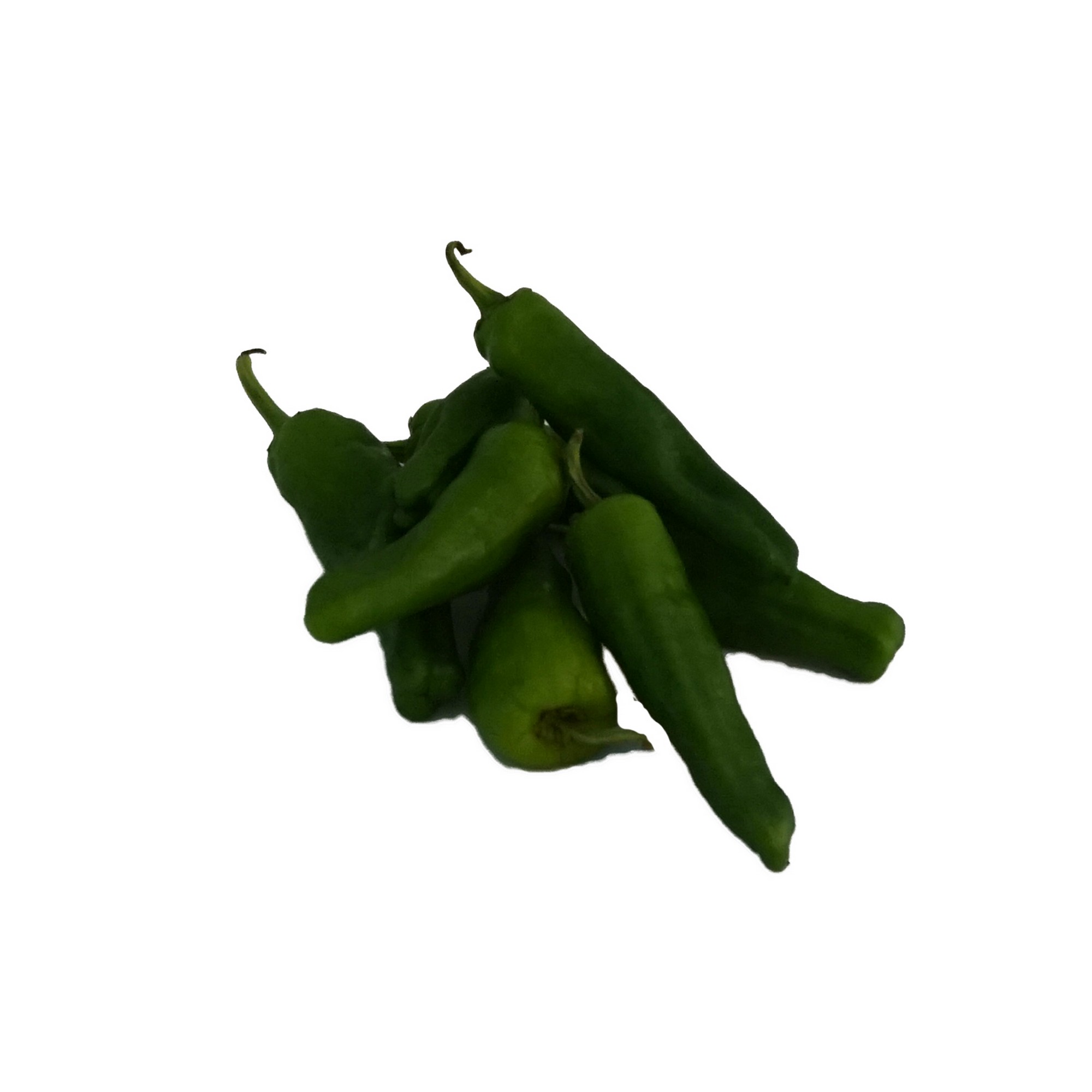 Paprika padrone grønn kg