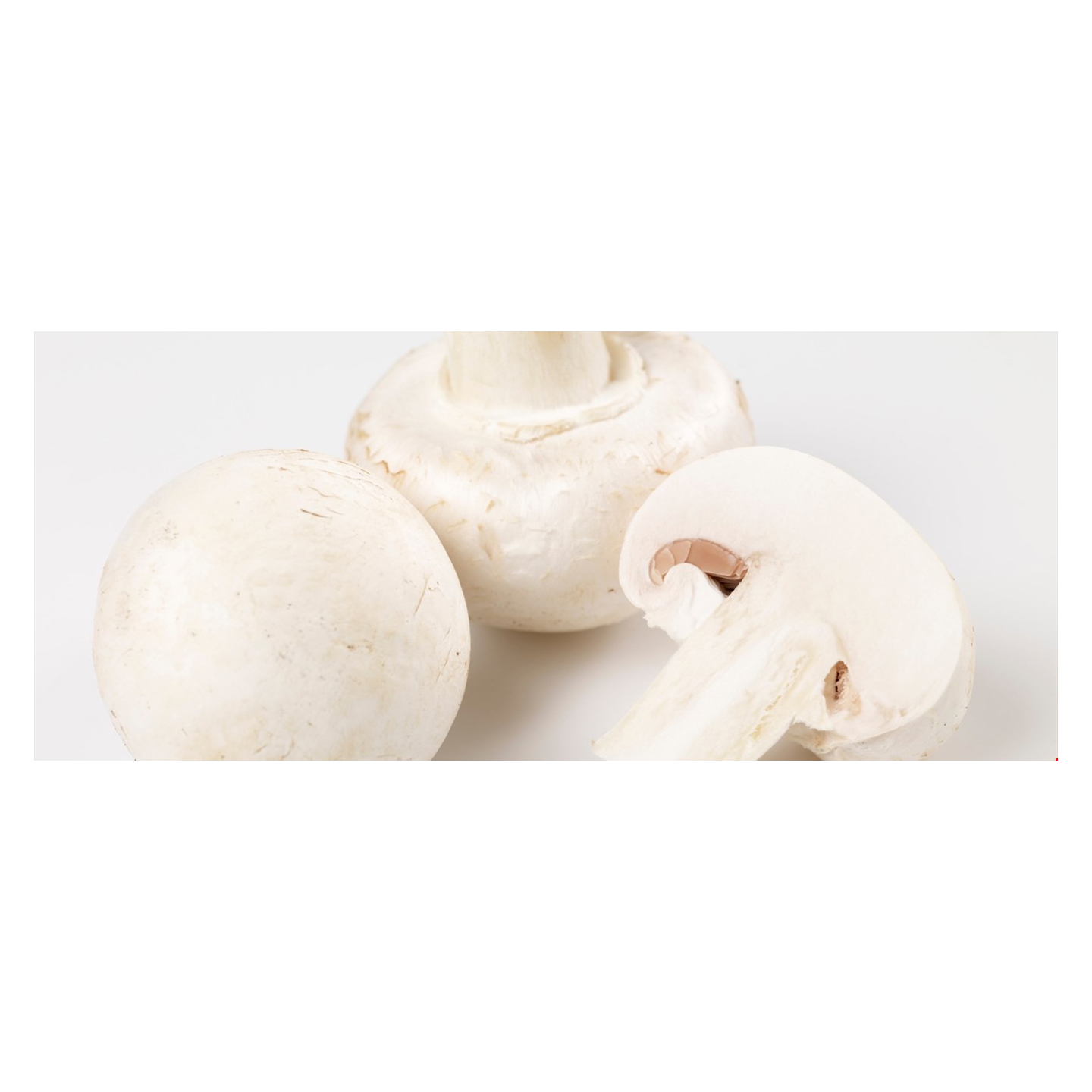 Sopp champignon økol.    kg