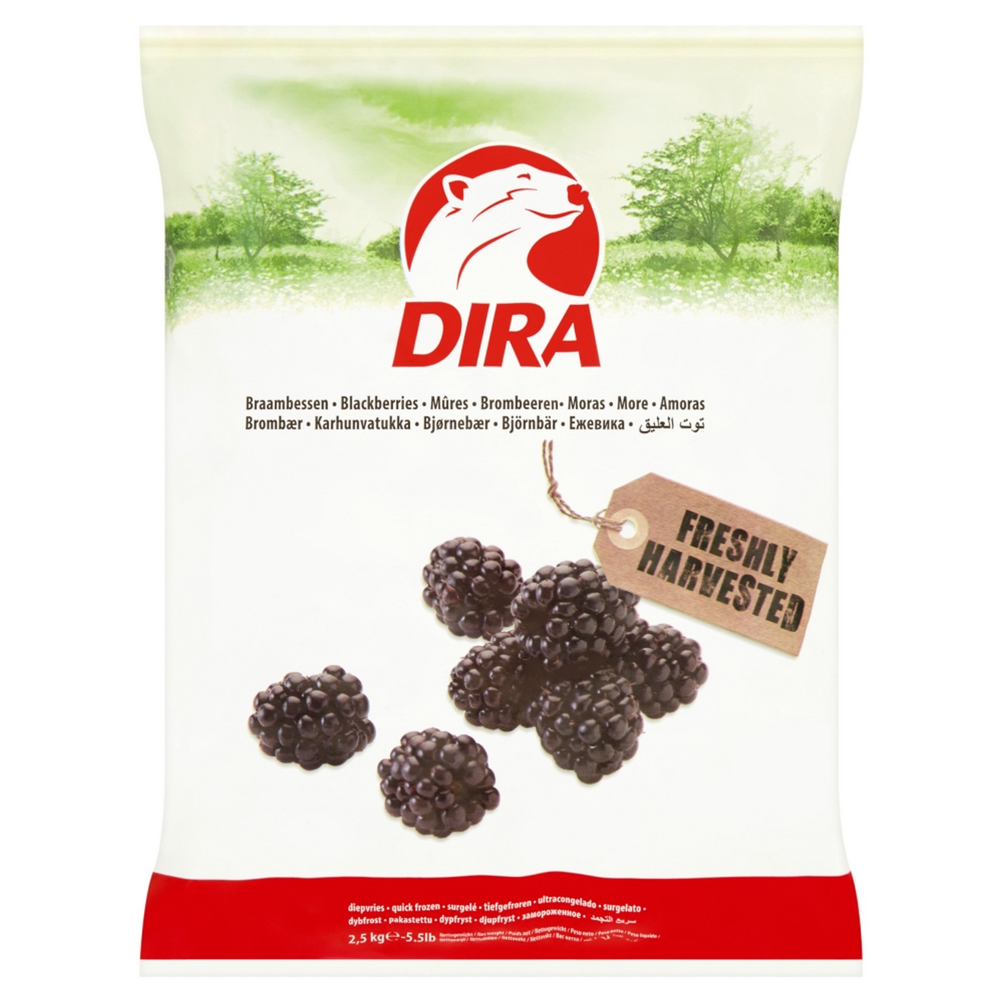 Bjørnebær 4x2,5kg t kg