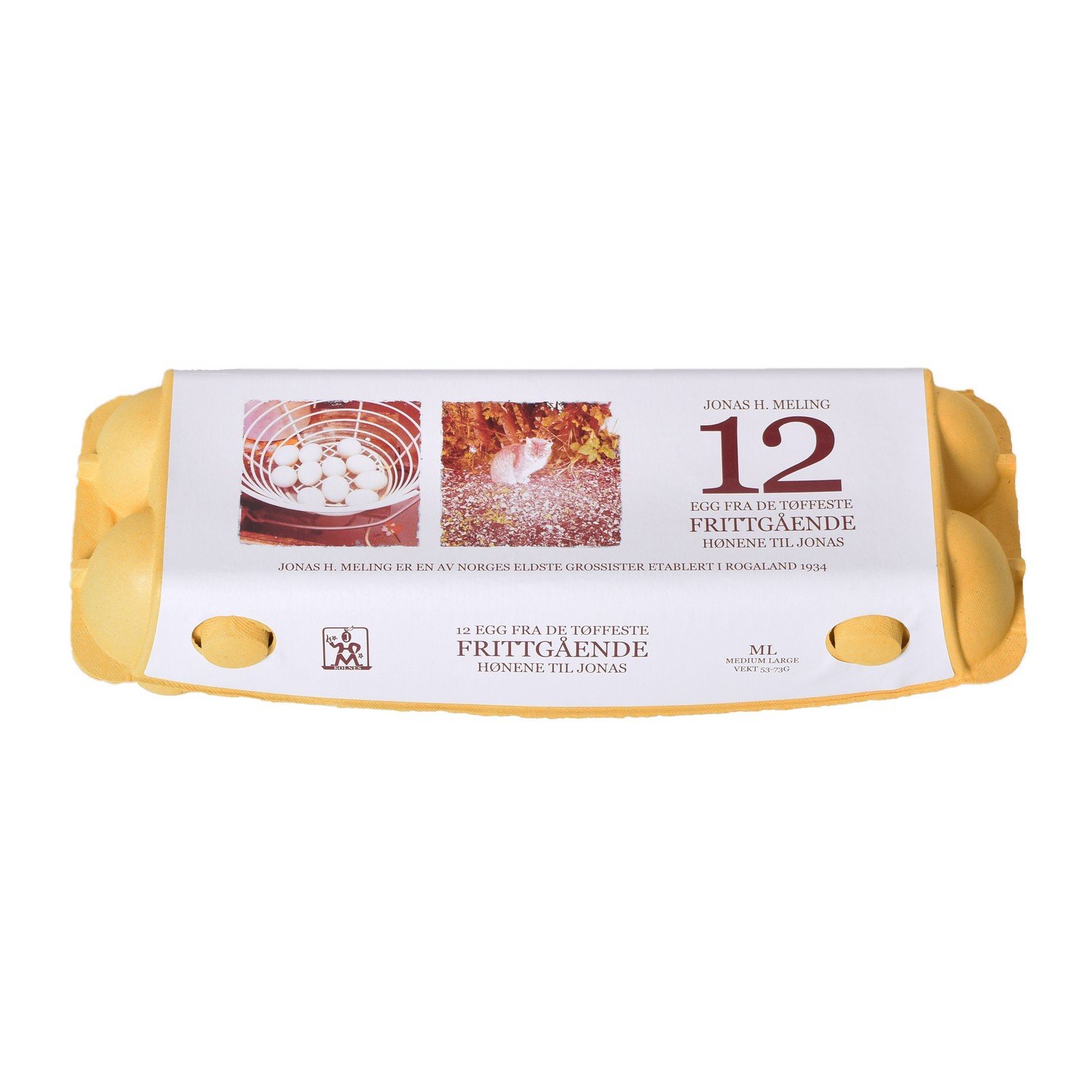 Egg m/l12f frittgående     12stk