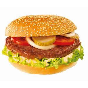 Hamburger konsept 100g  5kg