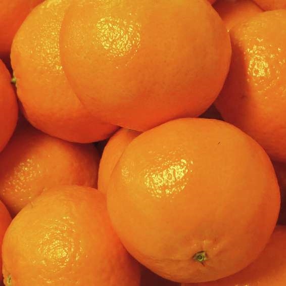 Klementiner (safor) kg