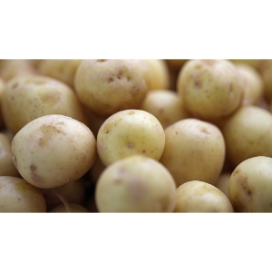 New potatoes imp.  kg