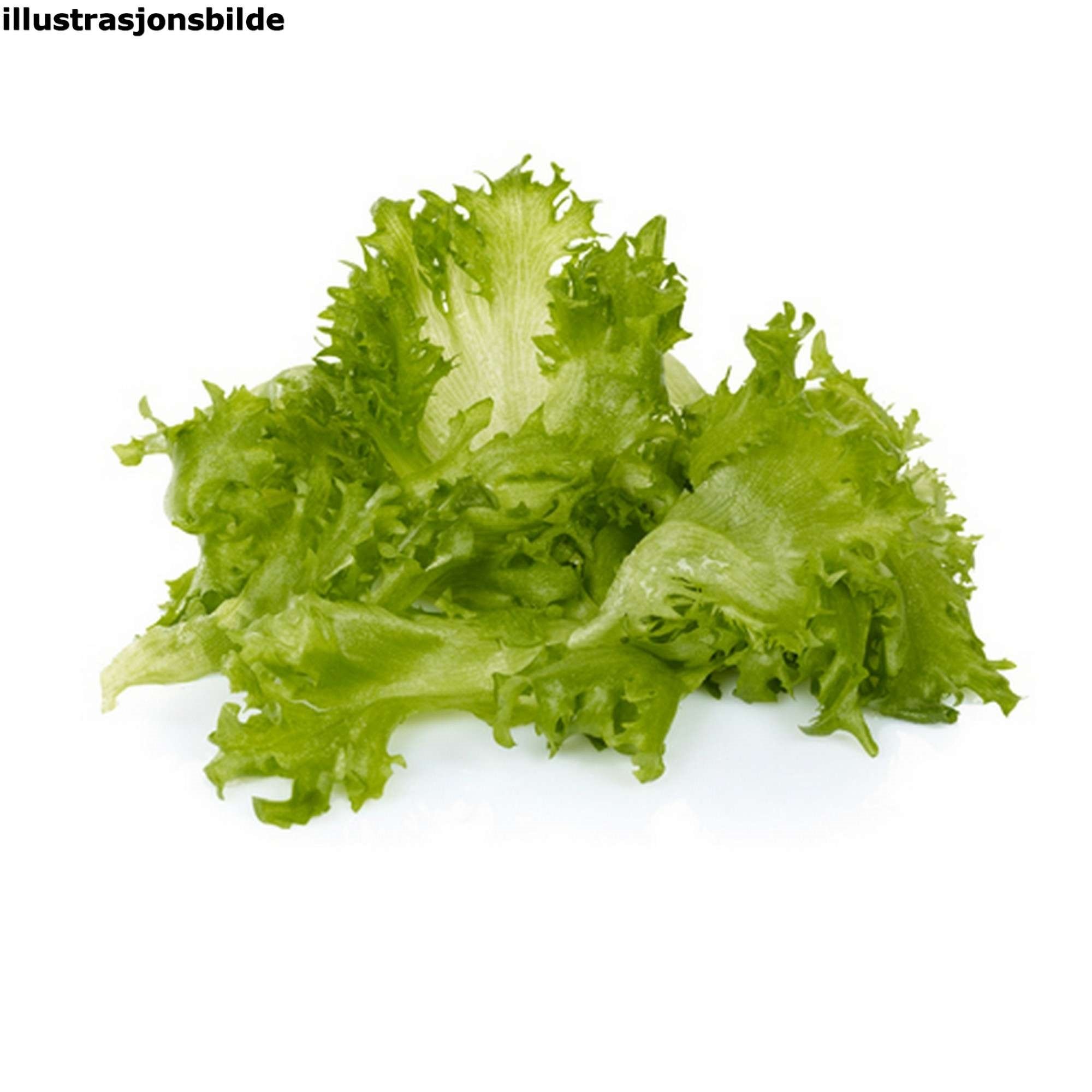 Salat crispi friland       700g