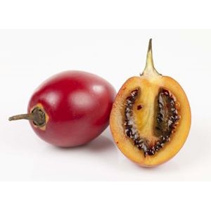 Tamarillo stk