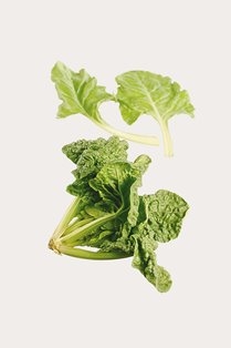 Spinach                 kg