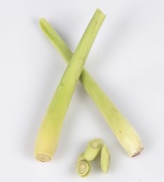 Sitrongress kg