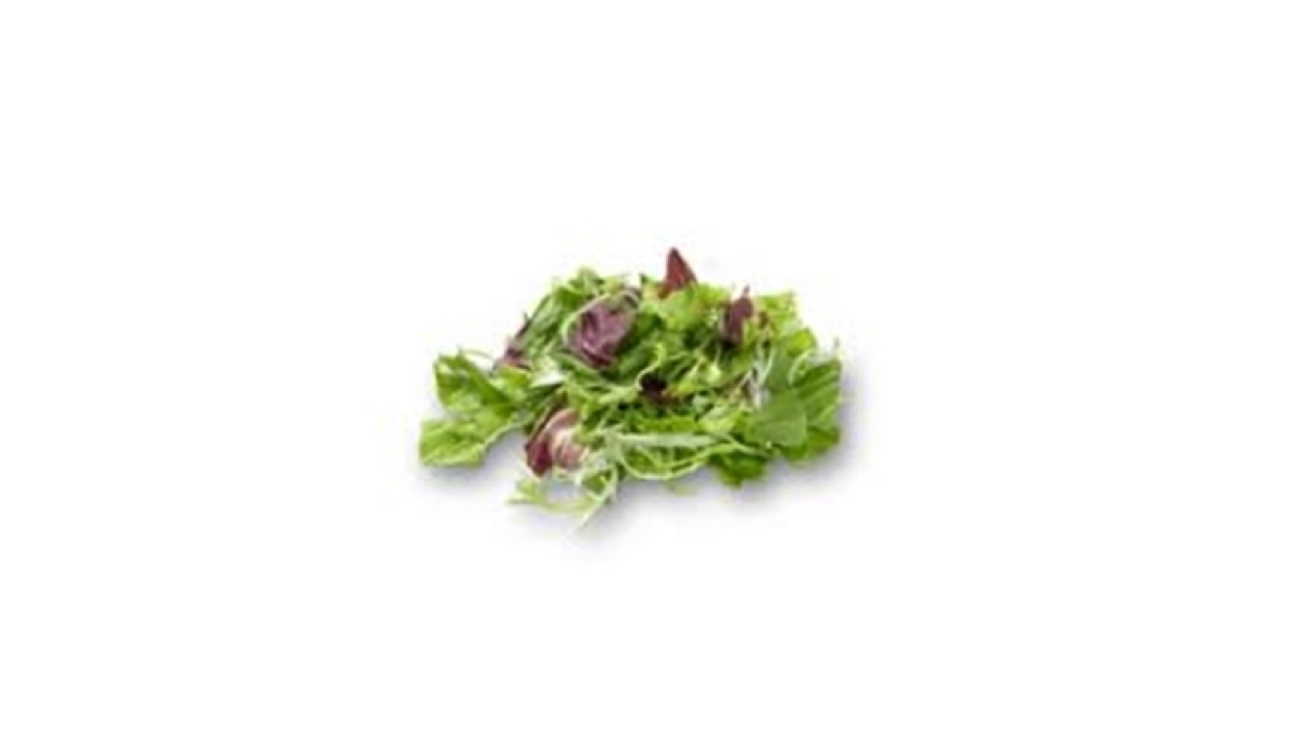 Restaurantsalat kutt. 500g