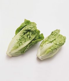 Salat hjertesalat  pk