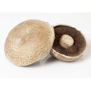 Portobello sopp kg