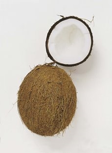 Kokosnøtt stk