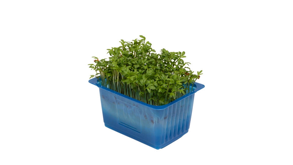 Karse grønn 100g stk