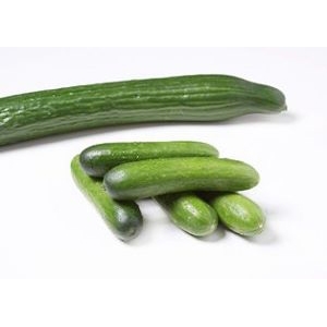 Agurker økol. stk