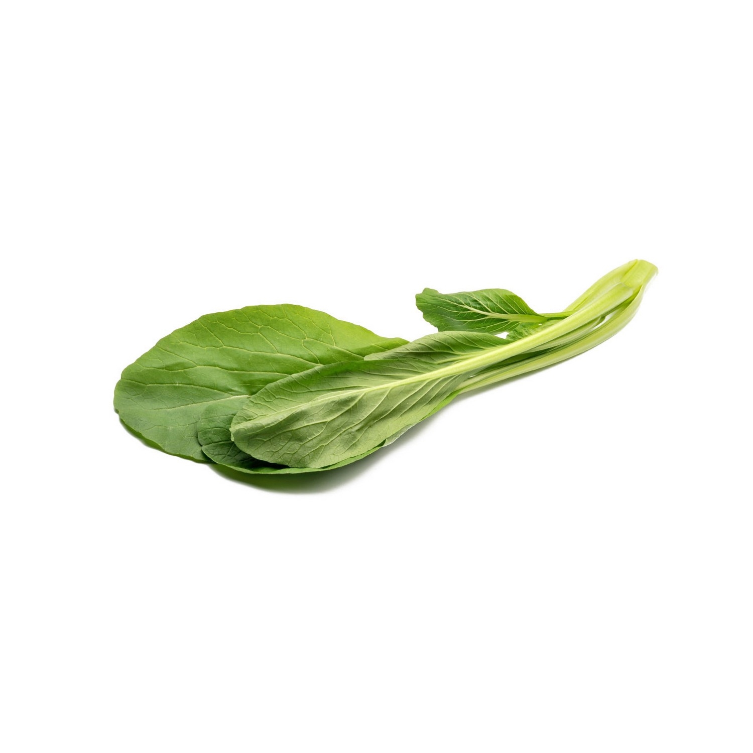 Choi sam kg