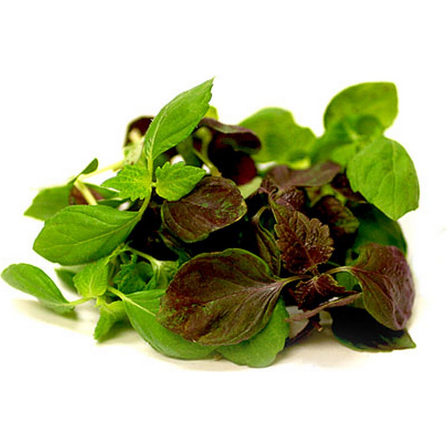 Shiso mix kg