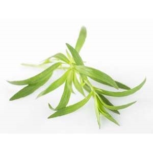 Urter estragon 10x100g kg