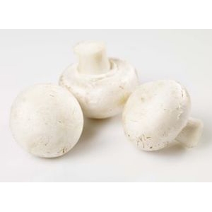 Sopp champignon import kg