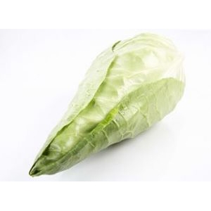 Spisskål økol.   stk