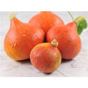 Pumpkin hokaido    kg