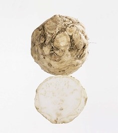 Sellerirot skrelt kg