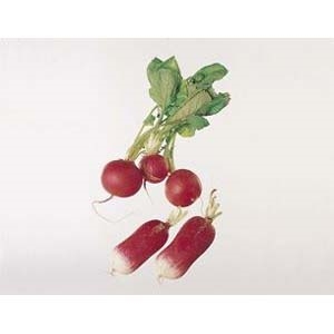 Reddiker økol. 200g bunt