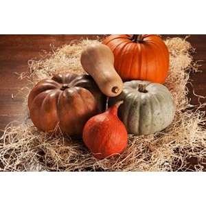 Gresskar halloween runde kg