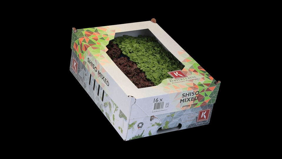 Karse shiso mix stk