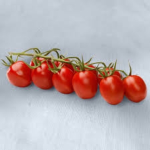 Piccola tomat kg