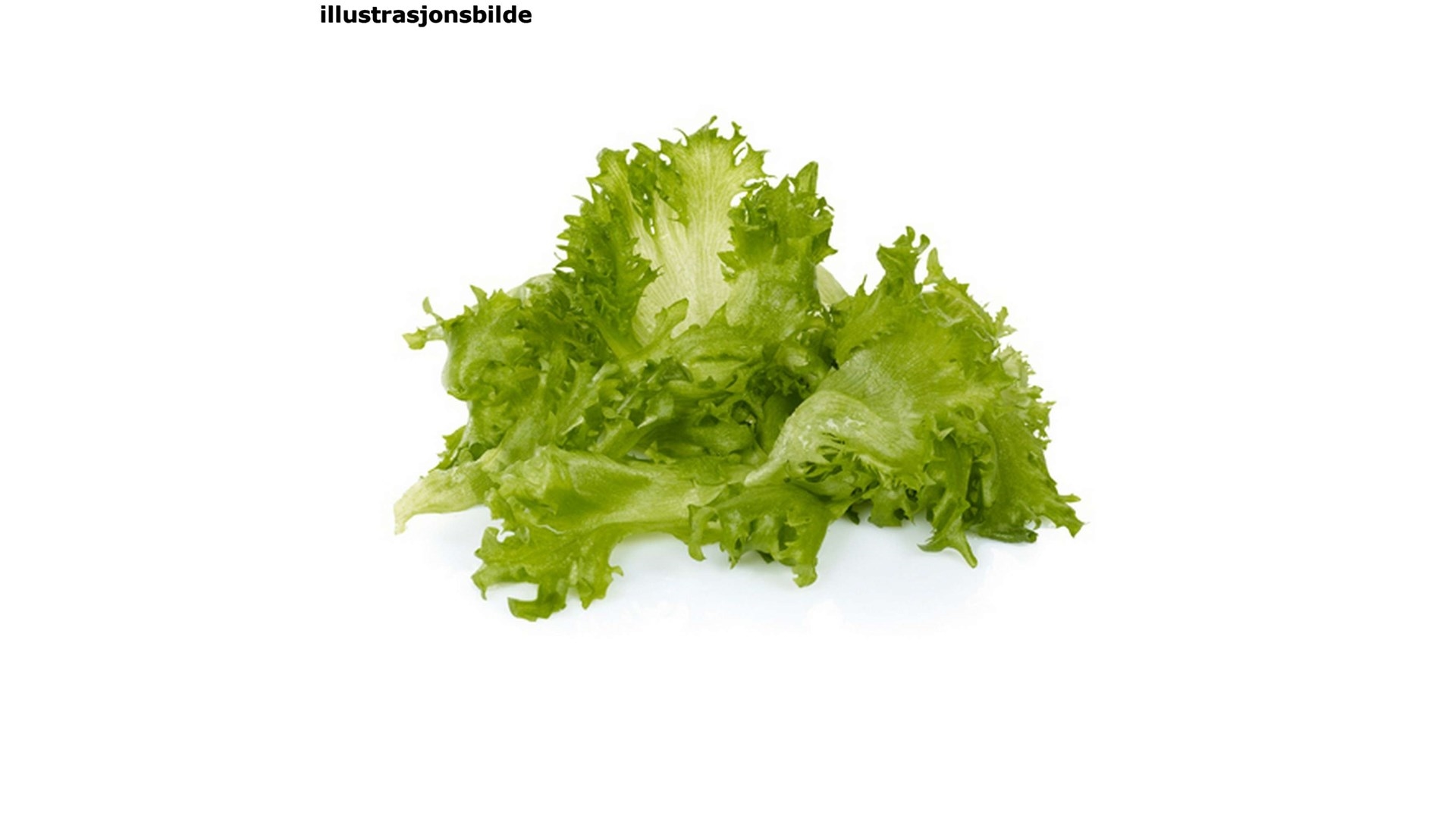 Salat crispi løse blader 2kg stk