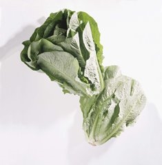Salat romano blader 2kg