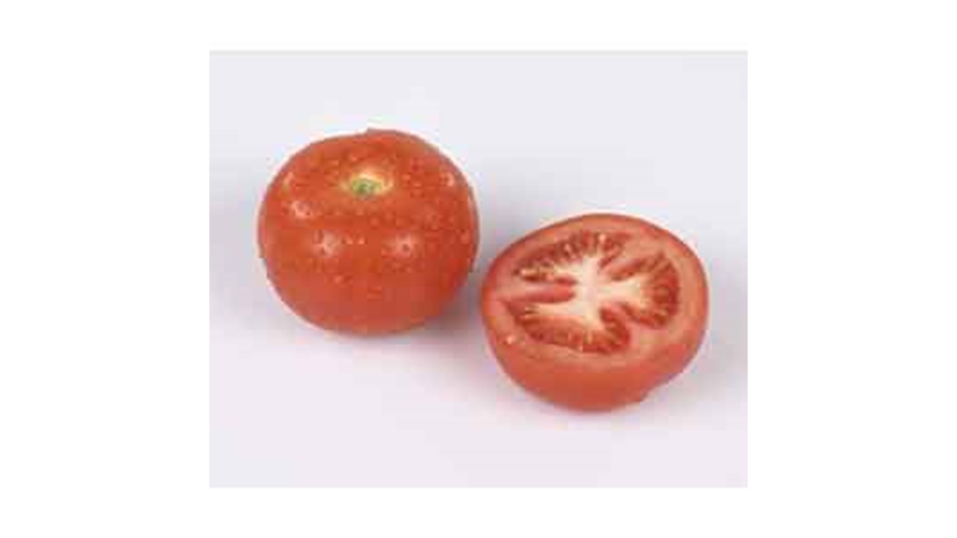 Tomater økol. 500g