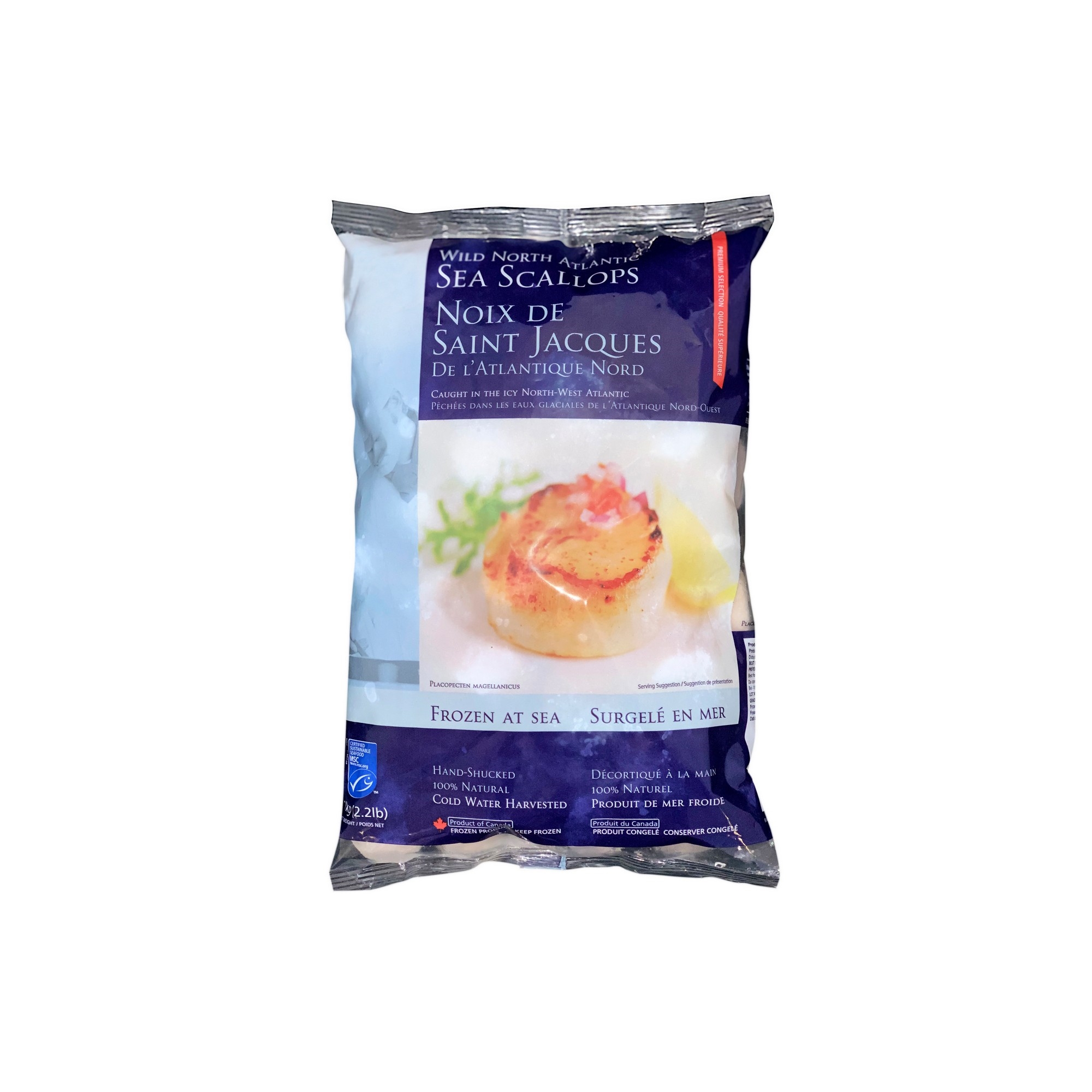 Kamskjell 20/30 clear water 0,92kg