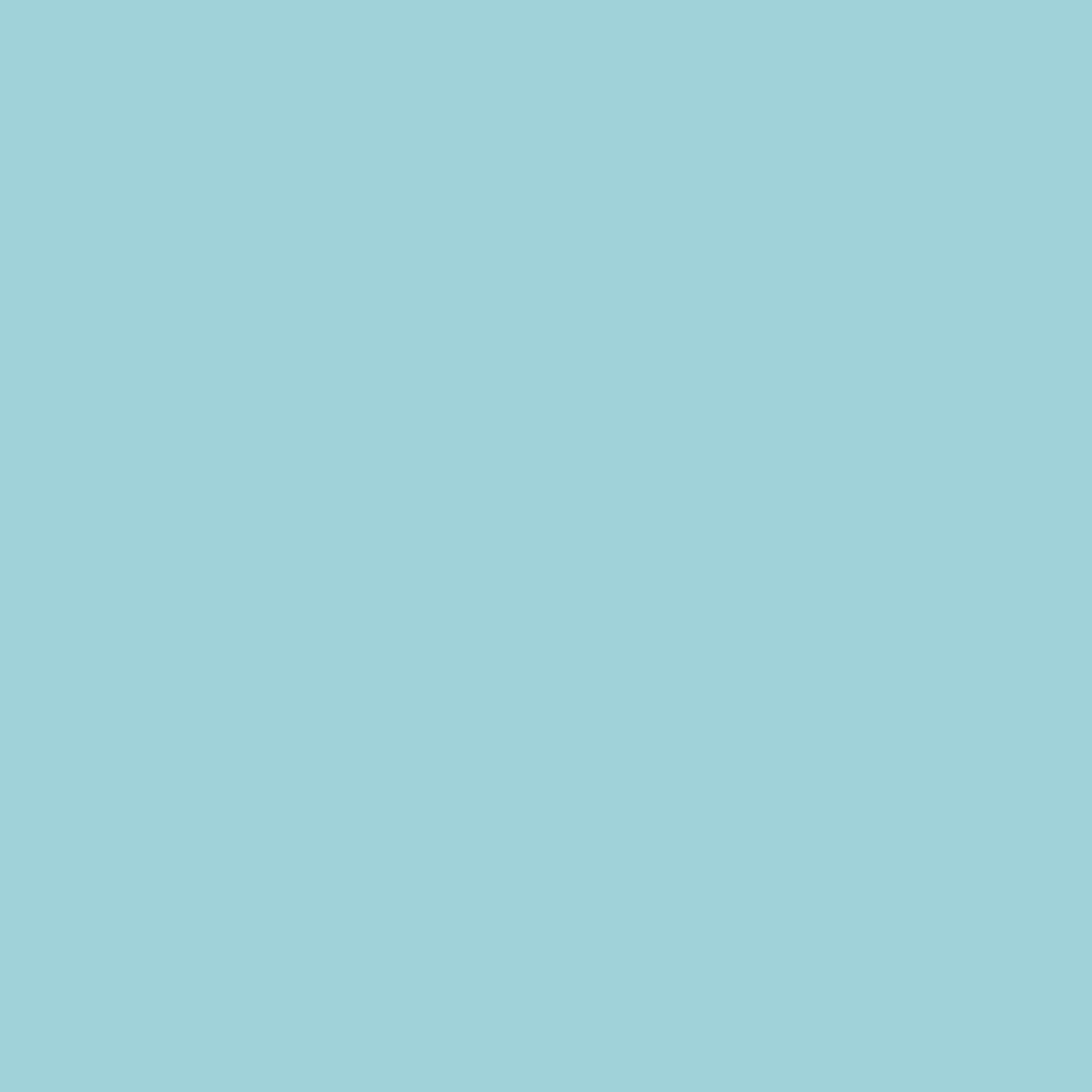 Serv.dunisoft 40cm mint blue 60stk