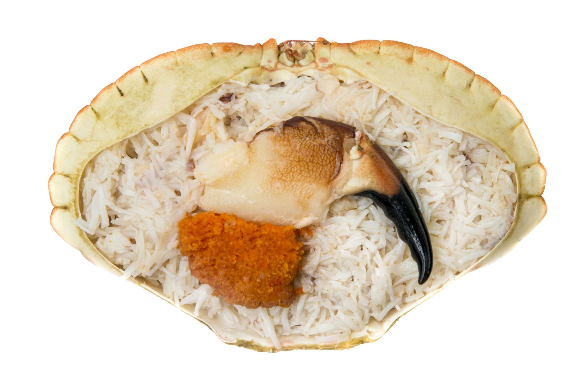 Krabbeskjell fylt, brunmat 150g stk