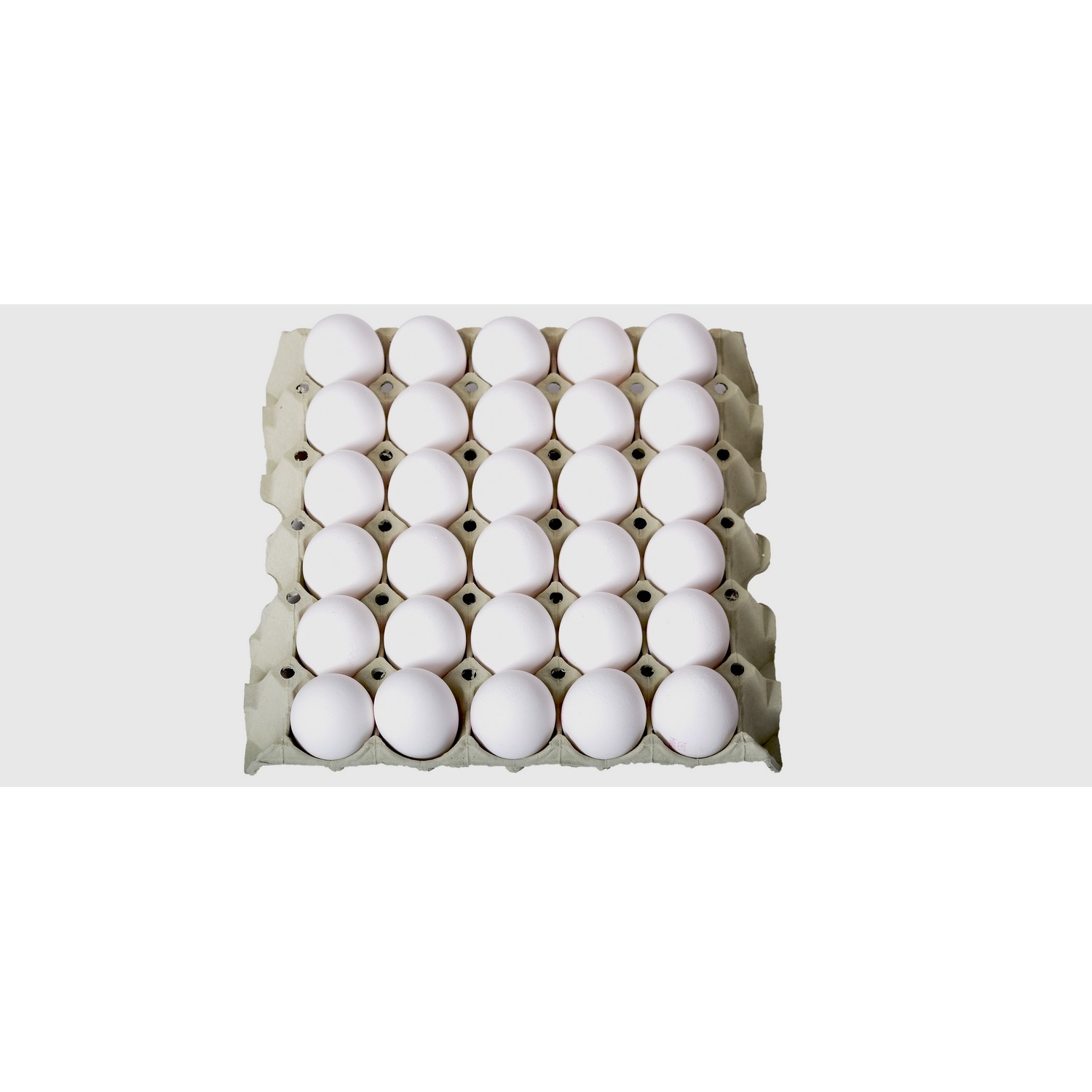 Egg 30 xl 2,275kg