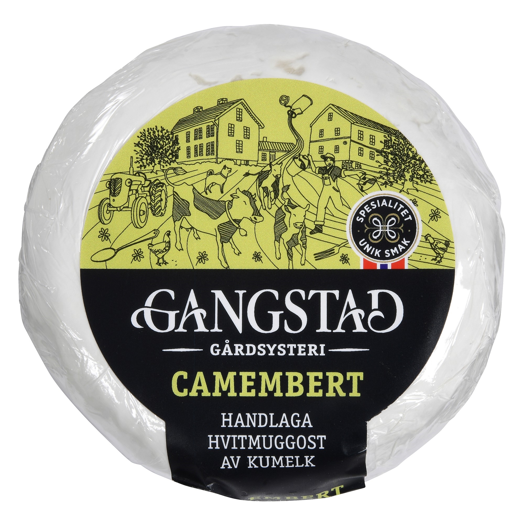 Camembert 20xca160g kg