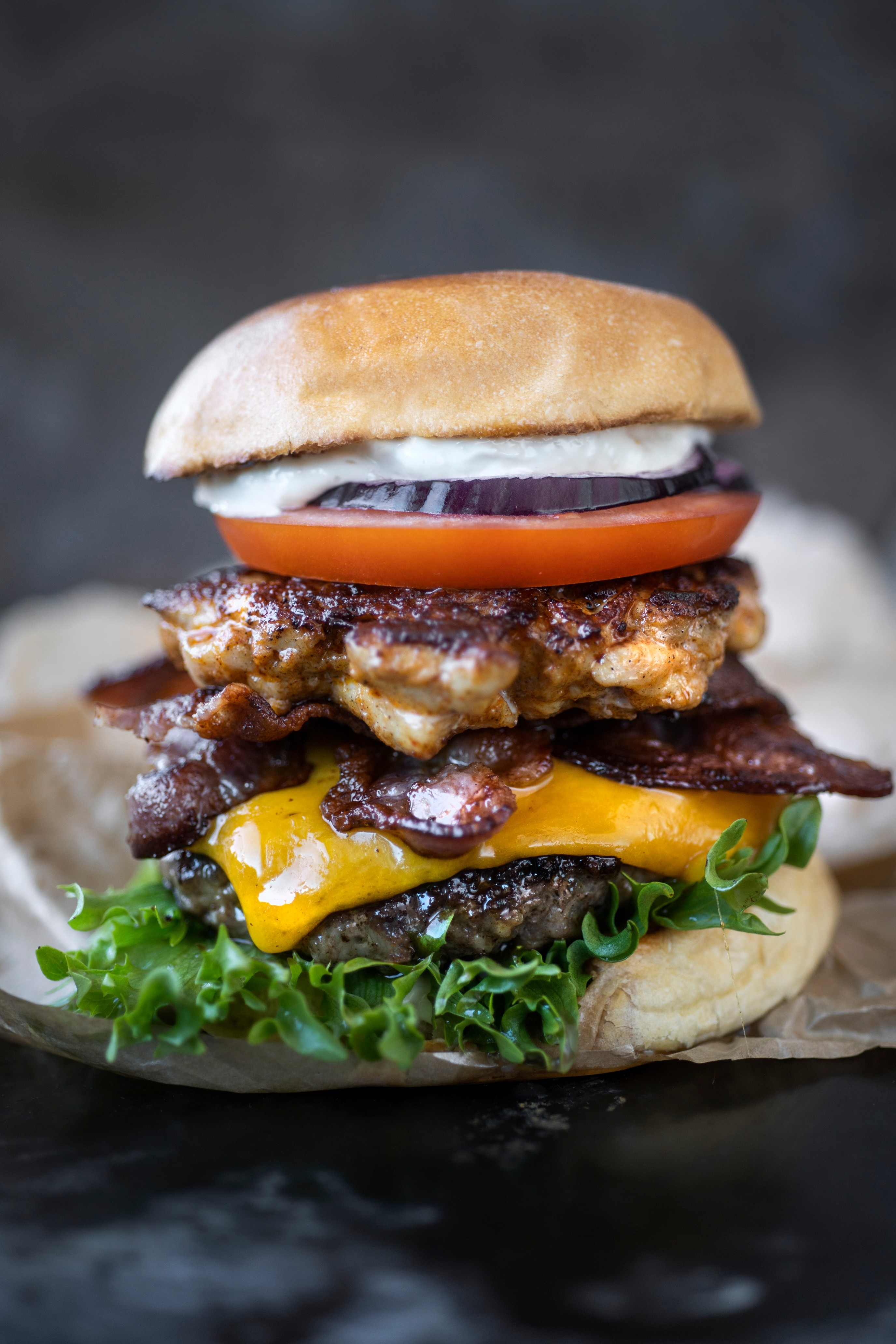 Hamburger homestyle   100g   5kg