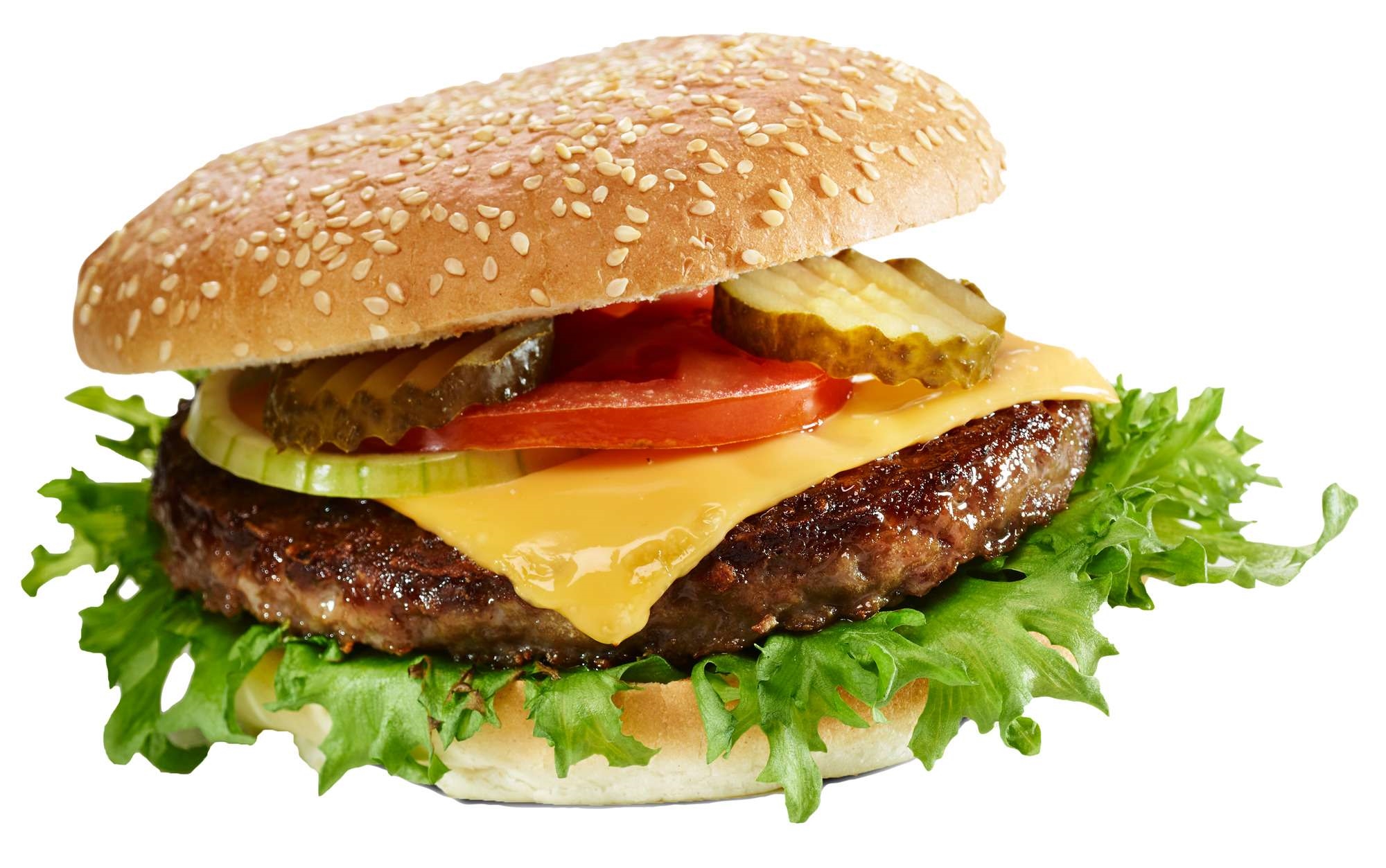 Hamburger   80x60g