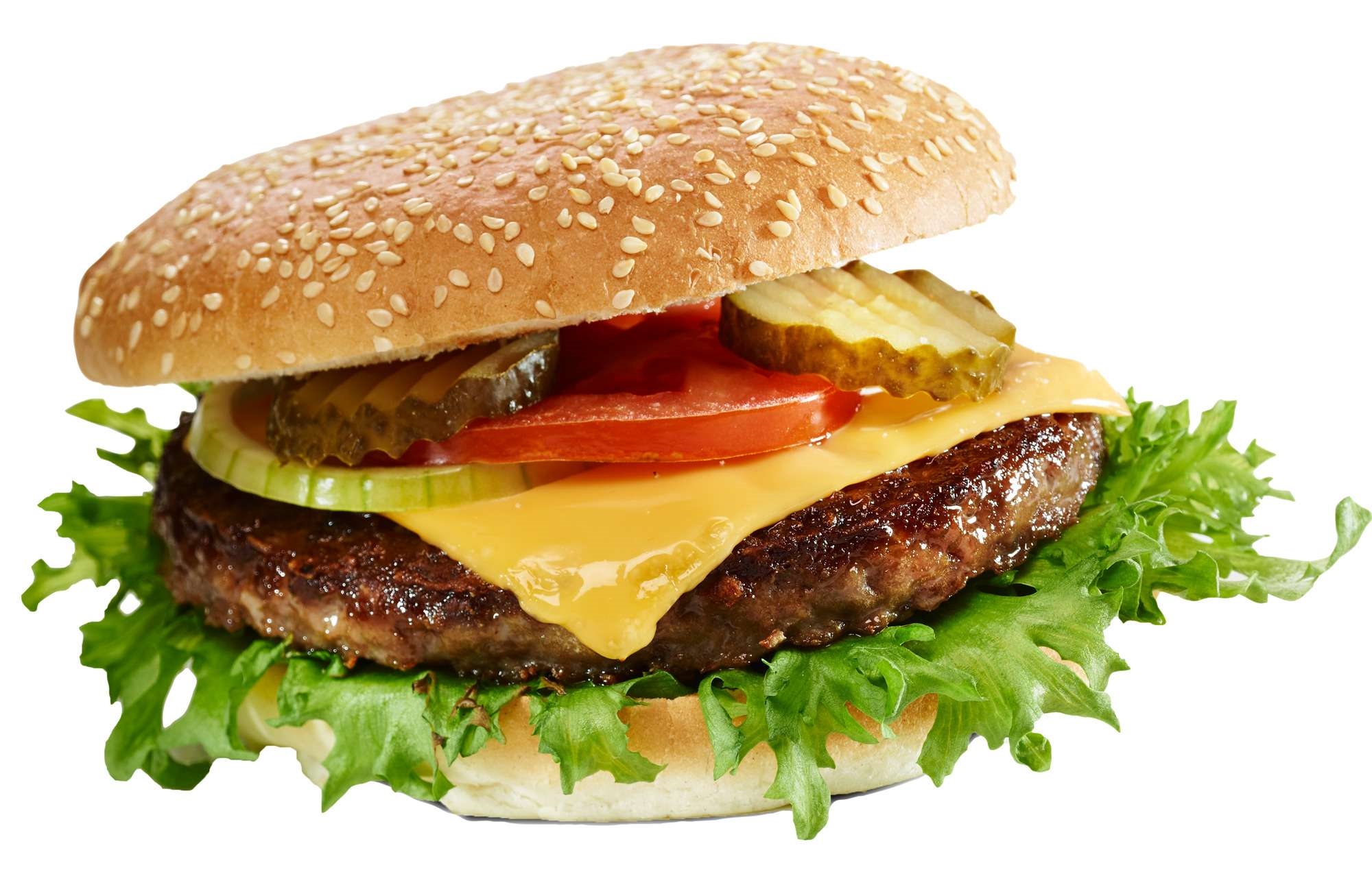 Hamburger halal 130g  5,2kg