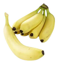Bananer costa rica kg